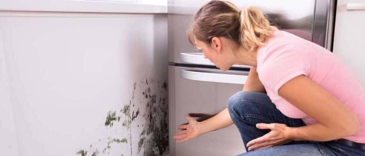 Warning Signs of Mold Problem